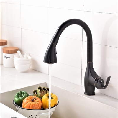 Fancy Faucets Design